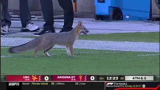 Fox streaks field in USC vs Arizona State game