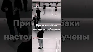 Пол в русской балетной школе