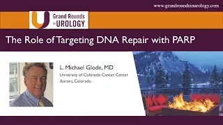 The Role of Targeting DNA Repair with PARP