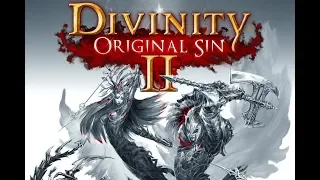 Divinity: Original Sin 2 Definitive Edition: Episode 107 - Sewers