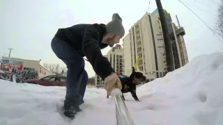 Rottweiler meets GoPro Hero 4