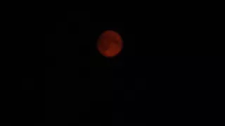 BLOOD MOON?! WEIRDD