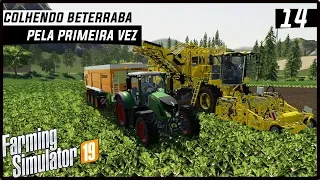 PRIMEIRA COLHEITA DE BETERRABA! | FARMING SIMULATOR 19 #14 [PT-BR]