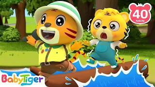 The Jungle Animals + More Nursery Rhymes & Animal Songs | Animals For Kids | BabyTiger