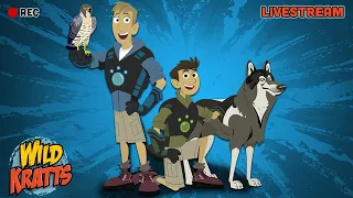 🔴 LIVE - Wild Kratts FULL EPISODE MARATHON 🐼🦒