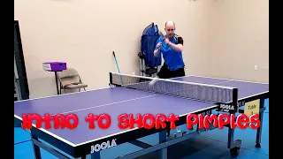 Table Tennis Basics - Introduction to Short Pimple Rubber