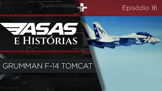 ASAS E HISTÓRIAS | GRUMMAN F-14 TOMCAT | EP. 16