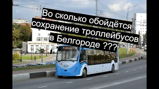 Во сколько обойдётся сохранение троллейбусов в Белгороде? - preservation of trolleybuses in Belgorod
