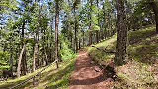 Hiking Adventure in Deer Creek Canyon, Colorado | Relaxing Nature Sounds | Sunny Spring Day 4K