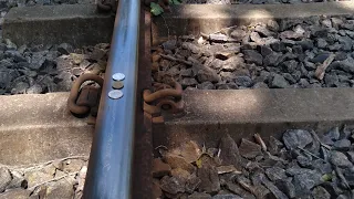 Train vs coins test ,Experiment