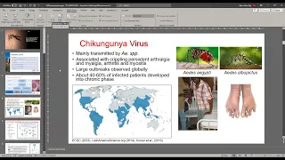 GVN: Forefront of Virology Webinar Featuring Dr. Wern Hann Ng