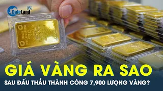 Có sự biến động giá sau khi đấu thầu thành công 7.900 lượng vàng? | CafeLand