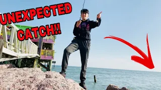 This FISH Caught Me By SURPRISE! **61st Pier** (Galveston, TX)