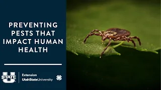 Climate, COVID, and Crowding- Public Health Pests Affecting Human Health, Business, and Livability