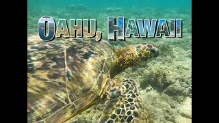DOWN UNDER - Oahu Awesome Scuba Diving And Snorkeling GoPro 4K - Hawaii