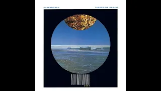 Tangerine Dream - *Cinnamon Road* (Slowed) 1983