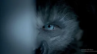 Wolves (2014) Movie Explained in Hindi/Urdu | Wolf Monster Summarized