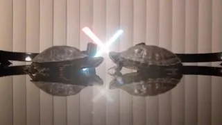 Jedi Turtles Return