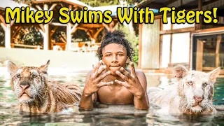 Mikey Williams Swims with Tigers and More ! | Myrtle Beach Safari