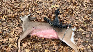 Thanksgiving 2022 Crossbow Deer Hunt