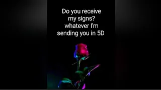 ♾️🧿(EXTREMELY ACCURATE)😲🤫Secret 5D💌 Messages from your Twin flame!!🔥🔥#lovemessages #loveletter