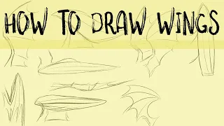 How to Draw Wings Tutorial!