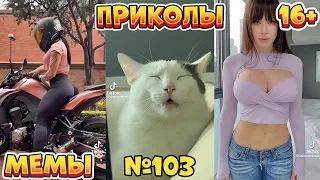 16 МИНУТ СМЕХА ДО СЛЁЗ | ЛУЧШИЕ ПРИКОЛЫ | ВЗРОСЛЫЙ ЮМОР l TikTok УГАР l #103