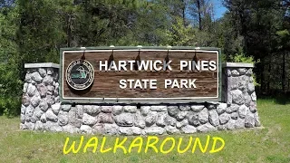 Hartwick Pines State Park Walk Around