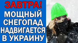 ПОГОДА НА 22 НОЯБРЯ : ПОГОДА НА ЗАВТРА