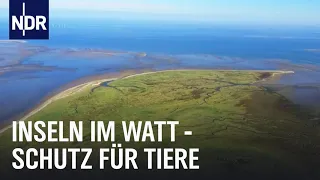 Verbotene Inseln im Wattenmeer | Die Nordreportage | NDR Doku