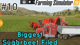 Harvesting Biggest Sugarbeet Field Farming Simulator 20 || Android/iOS