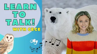 Toddlers! I Play and Learn to Talk with CeCe I Kids Songs & Nursery Rhymes I Going on a Bear Hunt
