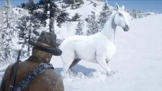 Como conseguir el caballo legendario arabe blanco (Red dead redemption 2)