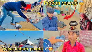 Bht mushkil se pigeon rescue kiya 😮 ( Pigeon rescue mission passed 🕊