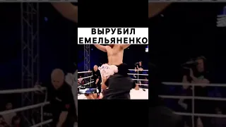 Емельяненко вырубили!😱