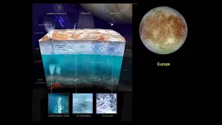 Où sont les planètes propices à la vie ?