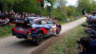 WRC  Croatia 2022| START&JUMPS| ACTION