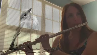 Songbird (Christine McVie arr Eva Cassidy) - Serendipity on Flute