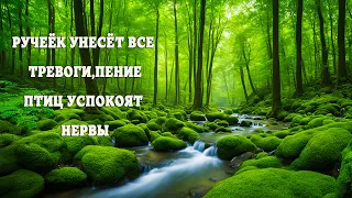 НЕЖНОЕ ЖУРЧАНИЕ РУЧЕЙКА И ПЕНИЕ ПТИЦ УСПОКОЯТ НЕРВЫ,СНИМУТ НАПРЯЖЕНИЕ .РУЧЕЁК УНЕСЁТ ВСЕ ТРЕВОГИ.