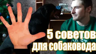 5 ЛУЧШИХ советов для Начинающих Собаководов