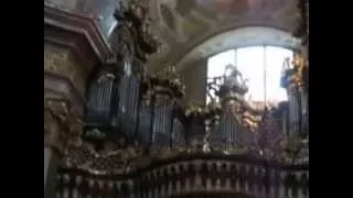 Organ recital excerpt, St. Peter's Church, Vienna, July 24, 2008