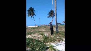 "The Coconut Plucker", Santa Lucia, Cuba, Amigo Mayanabo Resort