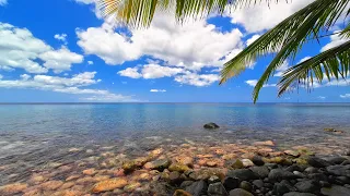 3hrs Of The Caribbean Sea Ocean Waves Sounds To Bring About Tranquility and Serenity | Nature ASMR