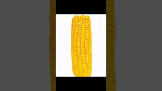 IT'S CORN #corn #song #viral #shorts #subscribe #funny #like #itscorn #fyp #juice #share #comment