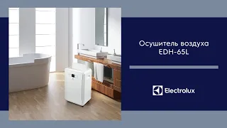 Минимальный уровень шума осушителя Electrolux. Смотрите полный обзор прибора тут