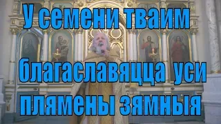 Пропаведзь пратаиерэя  Сергия Гардуна у нядзелю перад Ражством Хрыстовым.