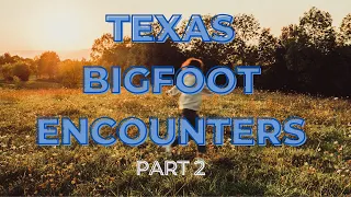 Amazing Texas Bigfoot Sightings Accounts and Maps. WOW