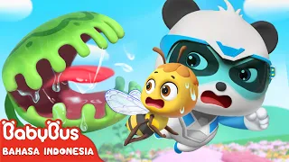 Lebah Madu Kecil Terjebak | Tim Penyelamat Super | Kartun Anak-anak |  BabyBus Bahasa Indonesia