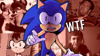 10 TIPOS DE FANS DE SONIC