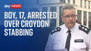 Croydon stabbing: 17-year-old boy arrested and in custody